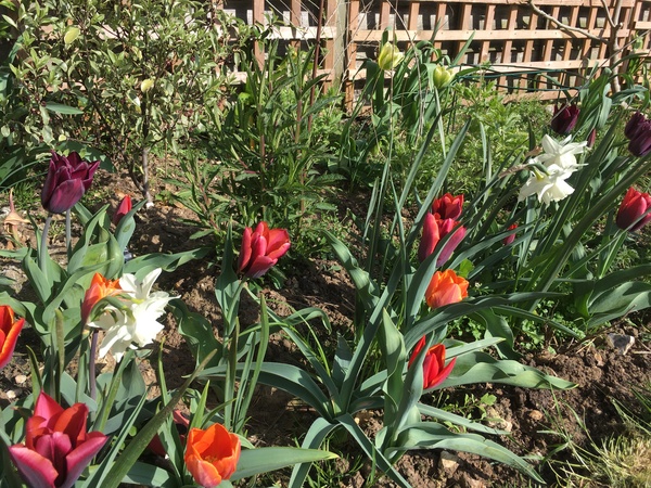 A thread for calm - peace, happy thoughts, support.