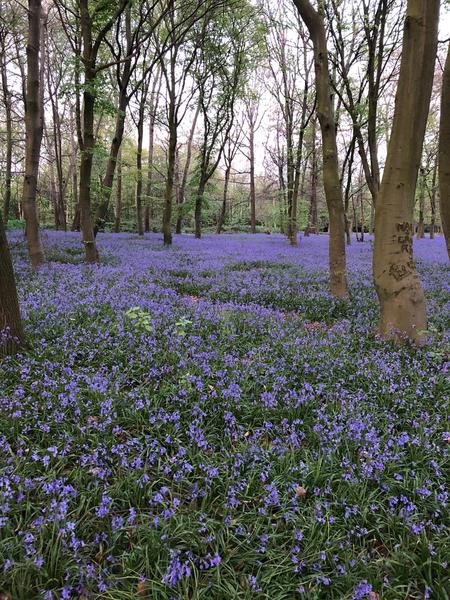 April Amigos Accounting Achievements and Adaptability