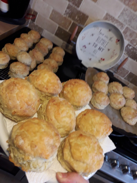 What are you baking today?