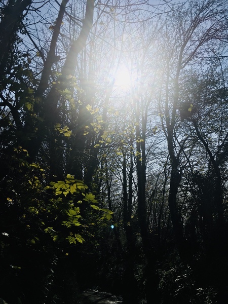 Any Witches Here? Part 11