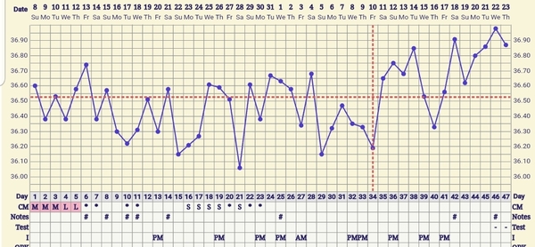 Opinions on BBT chart please?