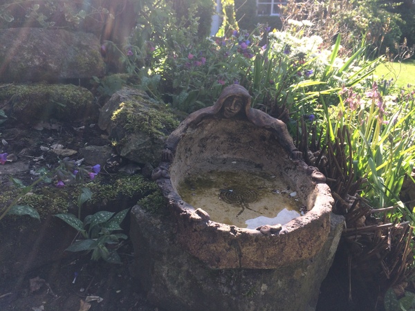 Any Witches Here? Part 11