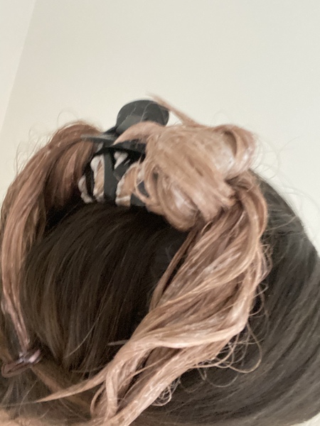 April Amigos Accounting Achievements and Adaptability