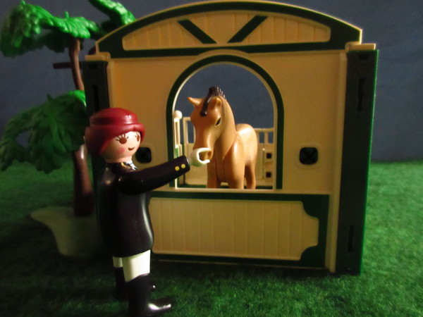 An outbreak of Covid-19 has occurred for the Playmobil people in our house...