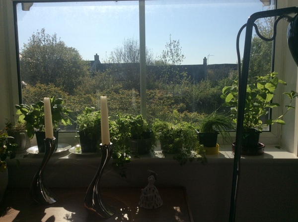 A thread for calm - peace, happy thoughts, support.