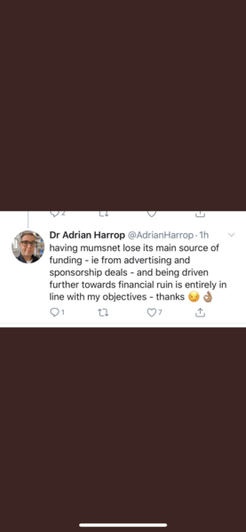 To wonder what 'the spirit of mumsnet' is.