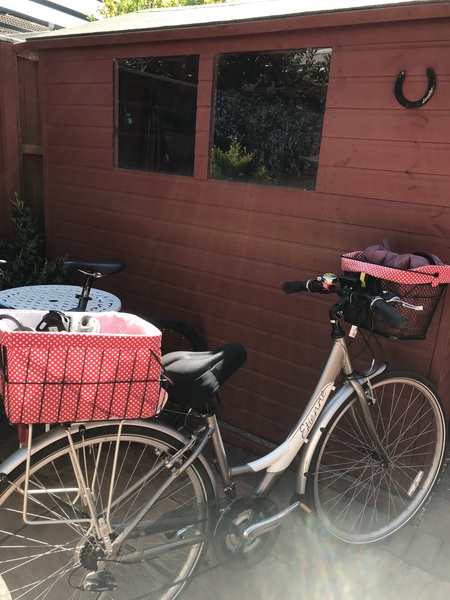 Step through bikes - future proofing