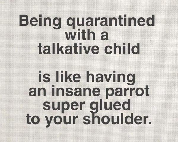 AIBU to ask for your favourite isolation memes?