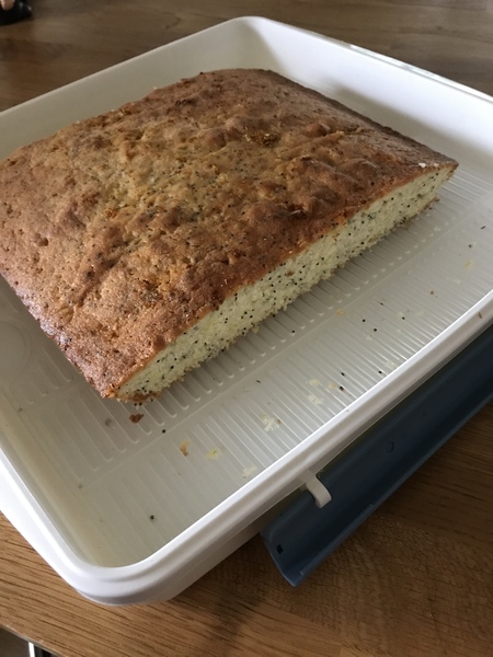 What are you baking today?