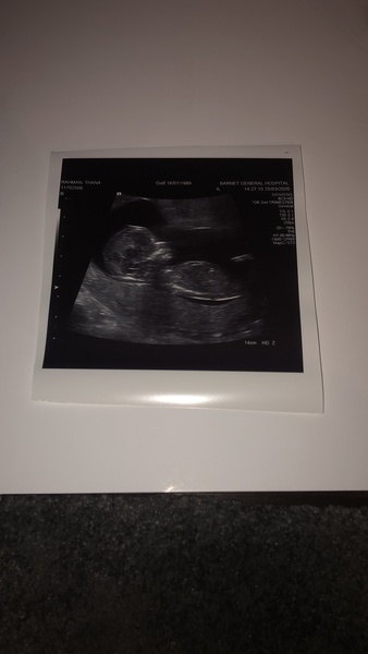 Early Oct babies part 3!