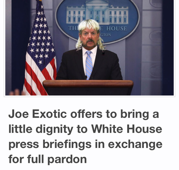 To genuinely wonder what is going to happen to the US?