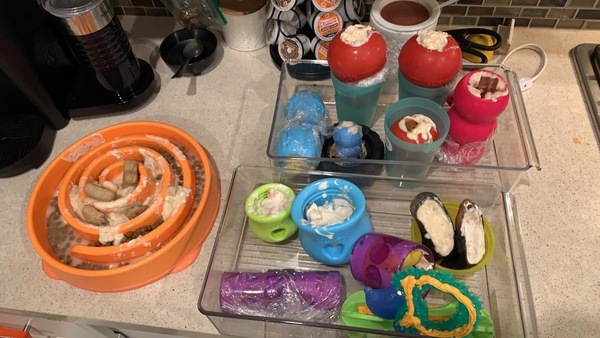 Kongs and treats