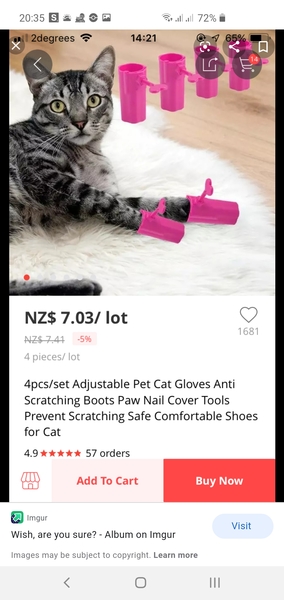 I think it’s time for another wtf is this Wish thread
