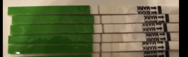Opk as pregnancy test.