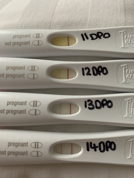 AF due 28th April currently 5DPO