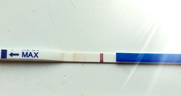 Line eyes - bfp?