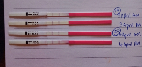 Late ovulation and opks unclear