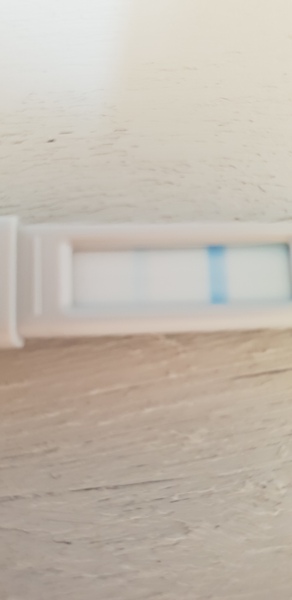 Ovulation test as pregnancy test?