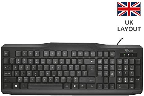 Headset with mic for working from home