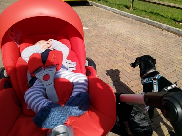 How to dress baby in pram