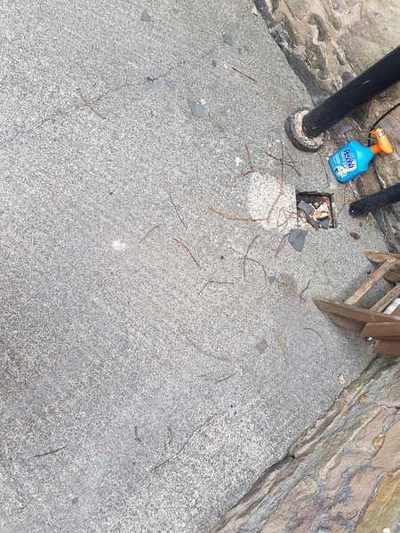 AIBU to ask the housing association to remove birds from my wall? And if I'm not BU, how can I make them do it?