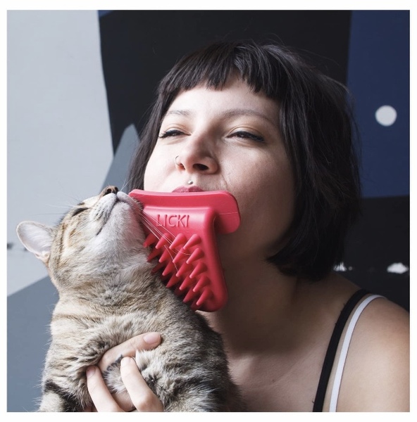 Anyone recommend a grooming brush for a medium coated cat that isn't keen on grooming?
