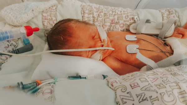 September 2019 #9 - for Twittlebee **title edited by MNHQ**