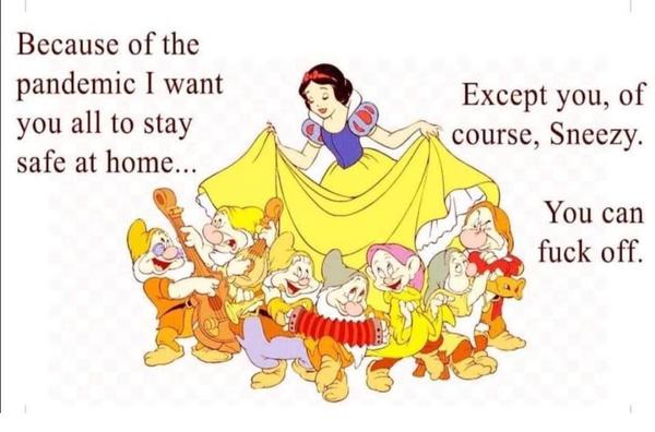 AIBU to ask for your favourite isolation memes?