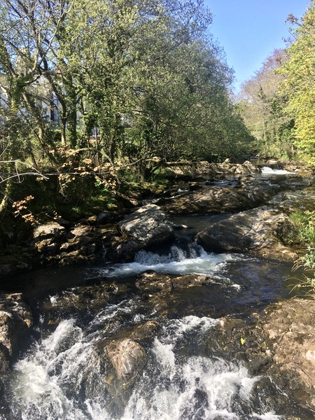 Any Witches Here? Part 11