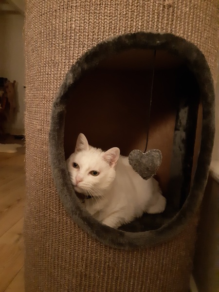What's your DCat up to today? (Thread 7!)