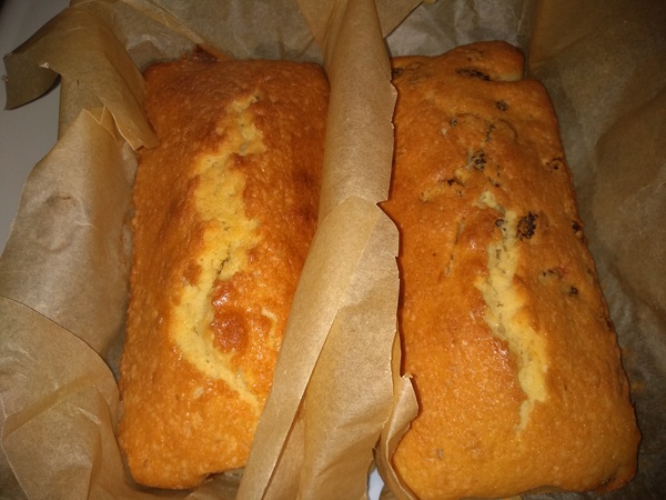 April Amigos Accounting Achievements and Adaptability