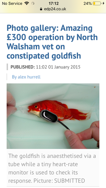 50 Book Challenge 2020 Part Four