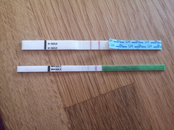 Puzzling opk / ovulation test results?!!