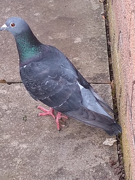 Managing Money Mindfully in March with the Friendly Frugaleers