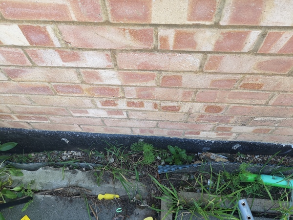 Please help me with my garden