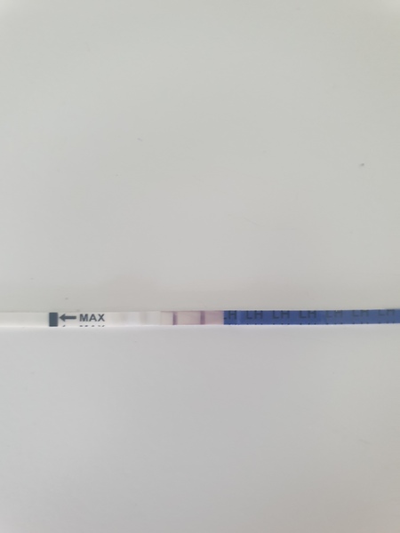 Positive opk or not?