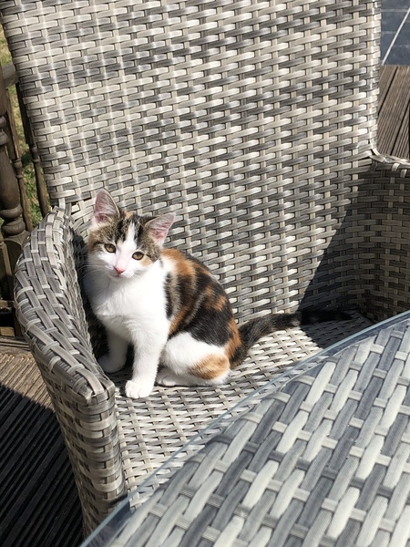 Meet Mitzi.