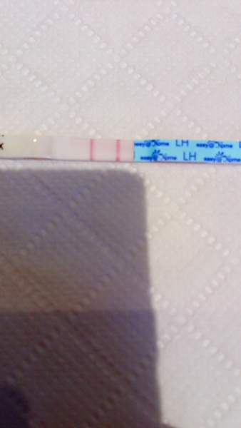 TTC after pregnancy loss - Thread 34 - huddle up and bring on the BFP's