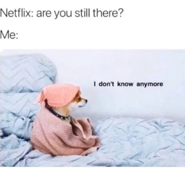 AIBU to ask for your favourite isolation memes?