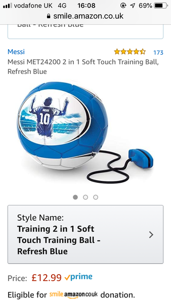 Volleyball swingball