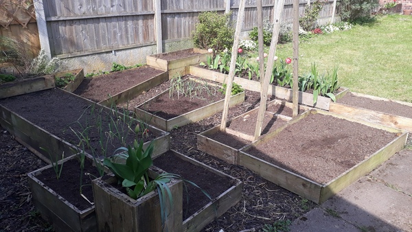 Allotment/Veg Patch Thread 15 - will winter ever end?