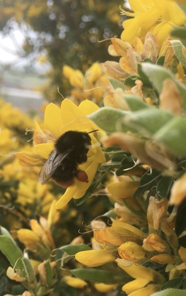 Any Witches Here? Part 11