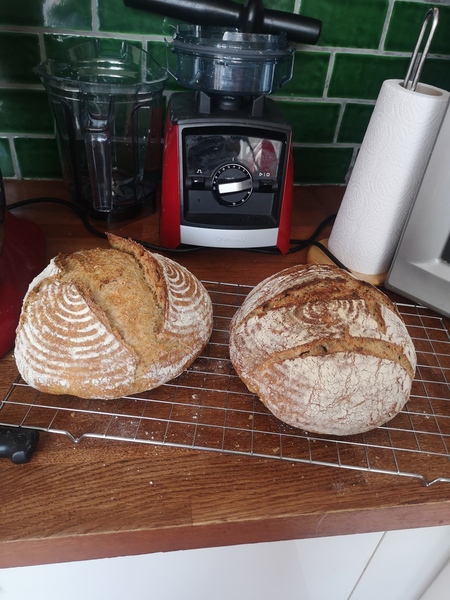Calling sourdough starter experts!