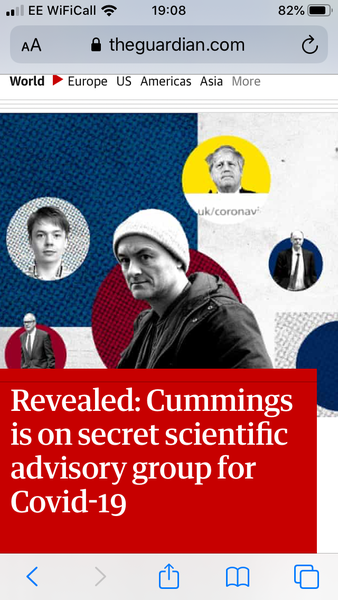 To be concerned that Dominic Cummings is part of SAGE
