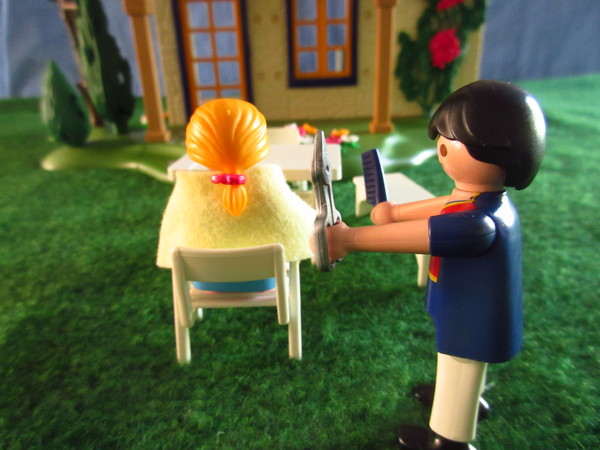 An outbreak of Covid-19 has occurred for the Playmobil people in our house...