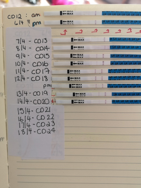 How many dpo do you think iam?