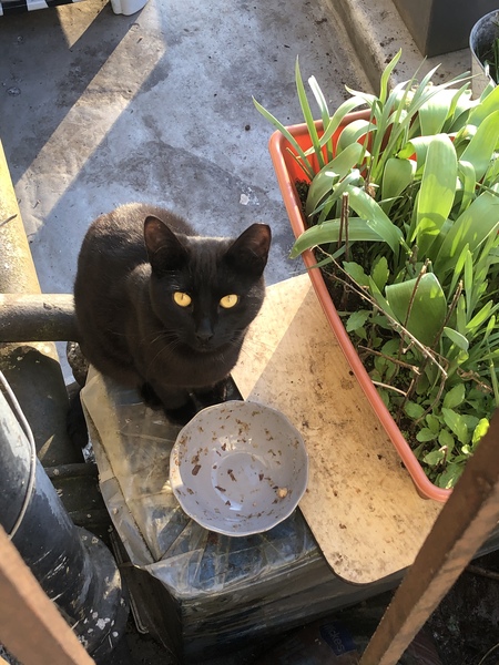 What's your DCat up to today? (Thread 7!)