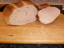 Calling sourdough starter experts!