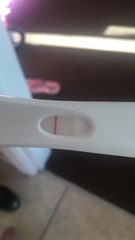 First response faint positive - clear blue digi 'not pregnant' CONFUSED!!