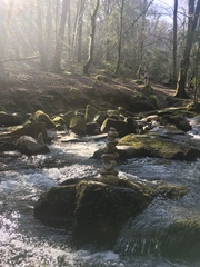 Any Witches Here? Part 11